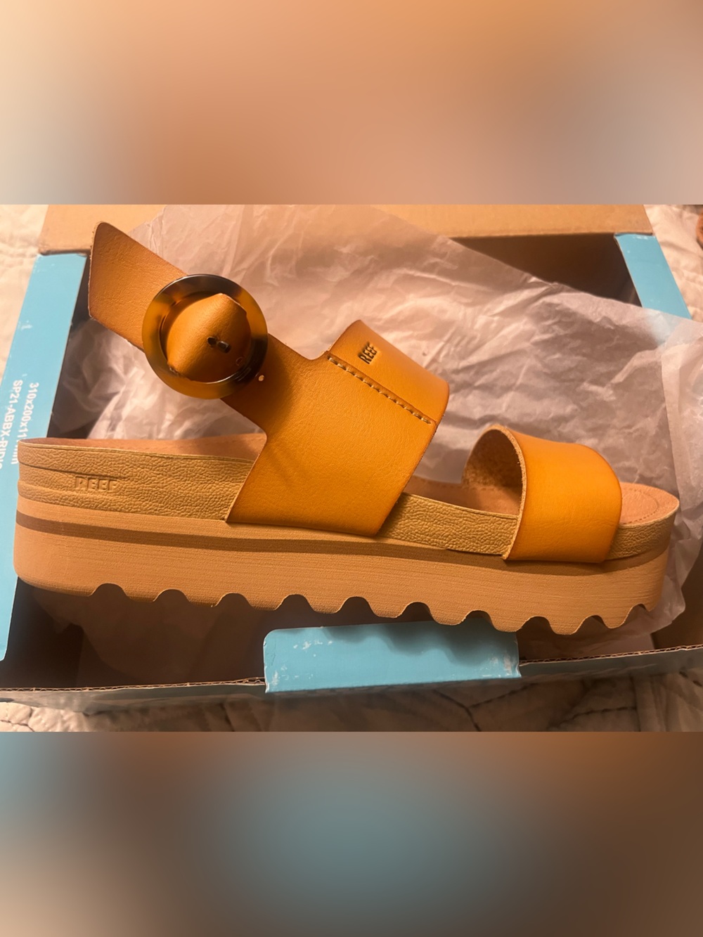 Reef Vista Hi Buckle NIB